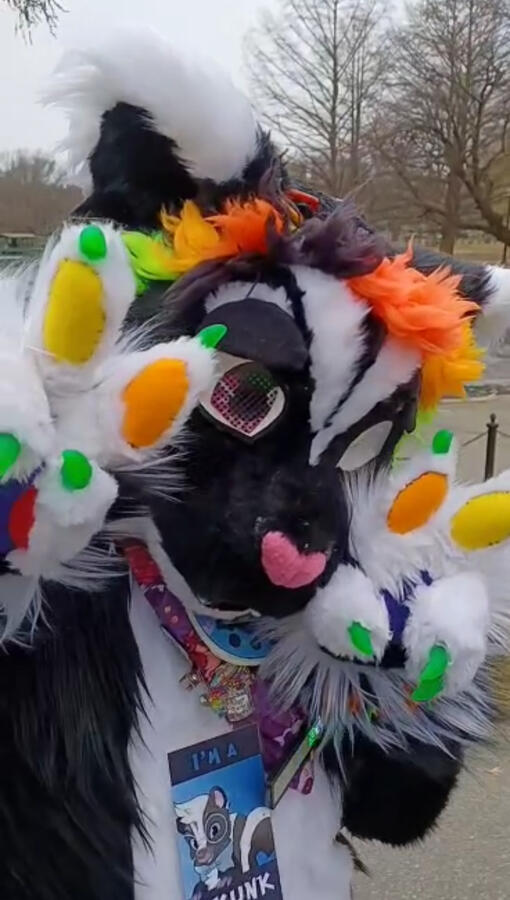 Sampson 2.0 Sampson 2.0